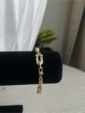 Gold pavé horseshoe centerpiece with plain horseshoe Chain Link Bracelet